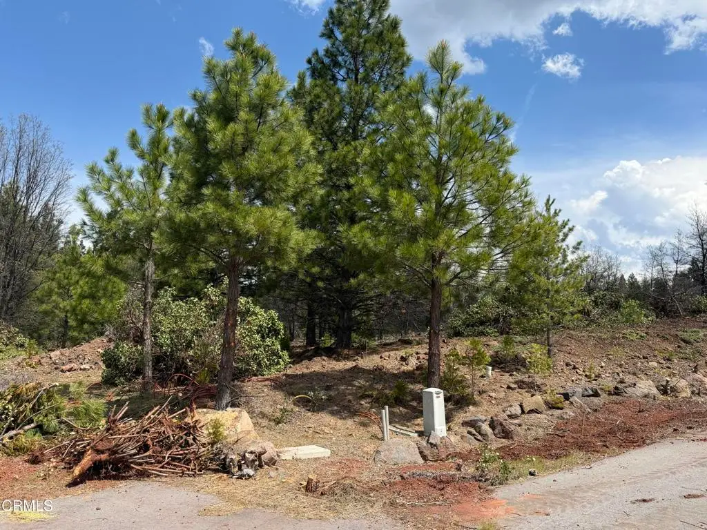 3 Kirby Court, Burney, CA 96013 - #1