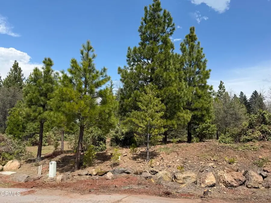3 Kirby Court, Burney, CA 96013 - #2