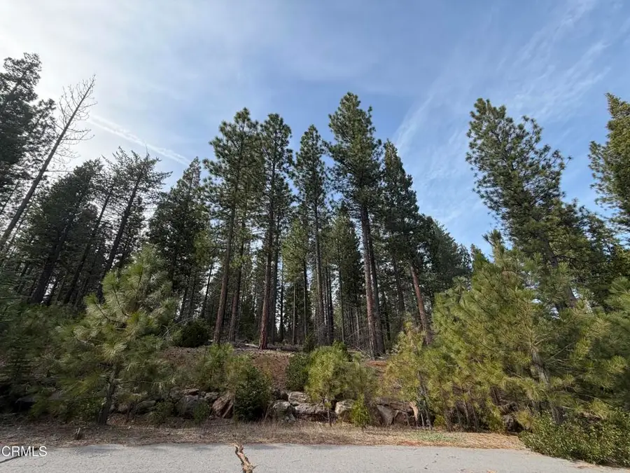 6 Kirby Court, Burney, CA 96013 - #2