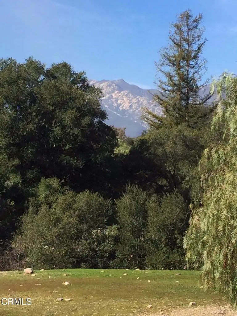 12140 Macdonald Drive, Ojai, CA 93023 - #1