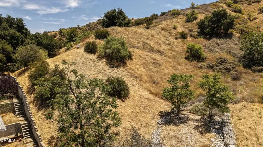 0 Dewolfe Road, Newhall, CA 91321 - #3