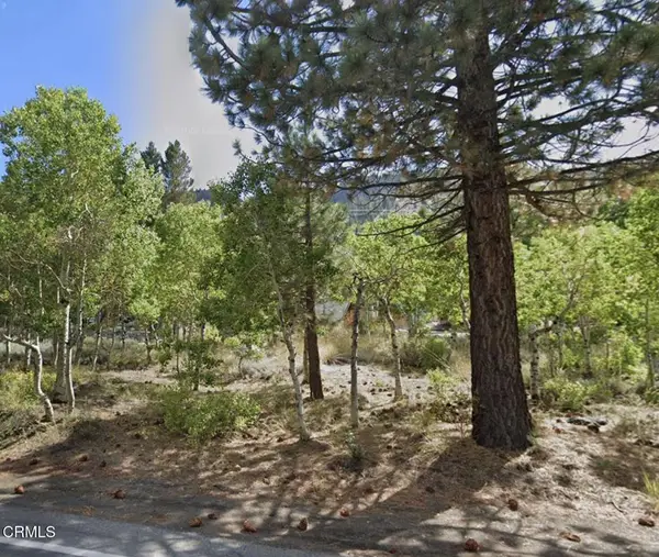 0 Unassigned, June Lake, CA 93529