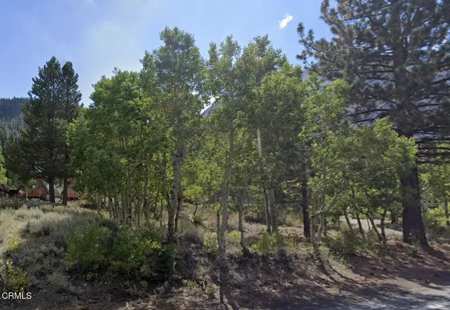 0 Unassigned, June Lake, CA 93529 - #2