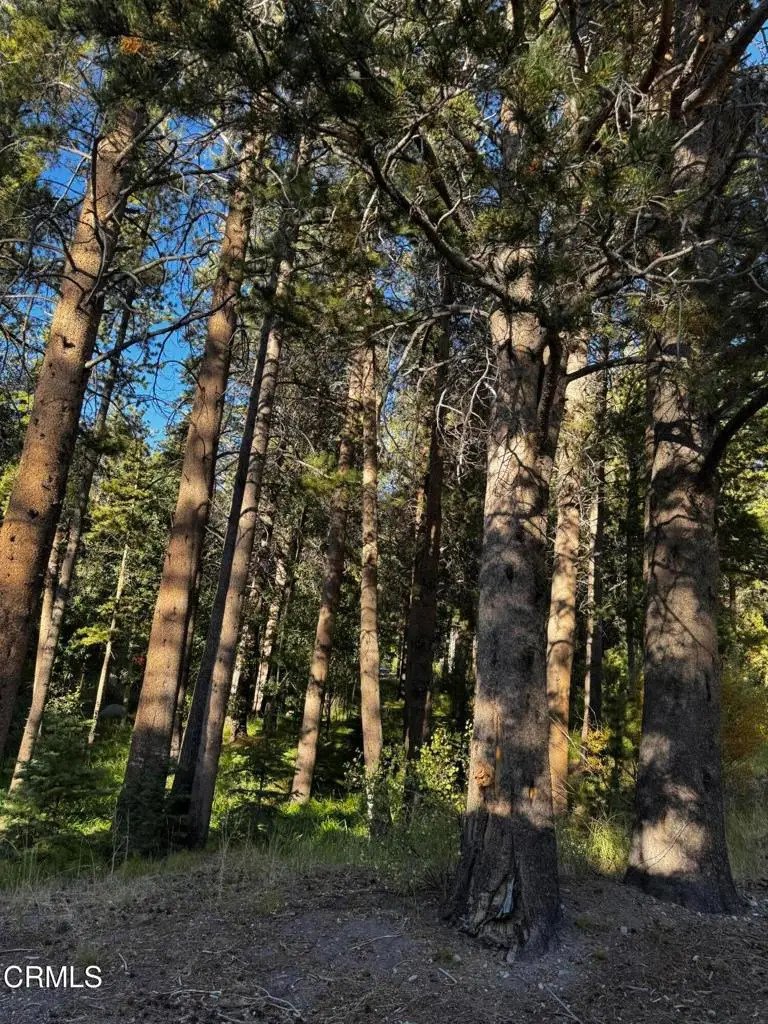 Lot 4 Minaret Road, June Lake, CA 93529 - #1