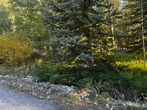 Lot 3 Minaret Road, June Lake, CA 93529