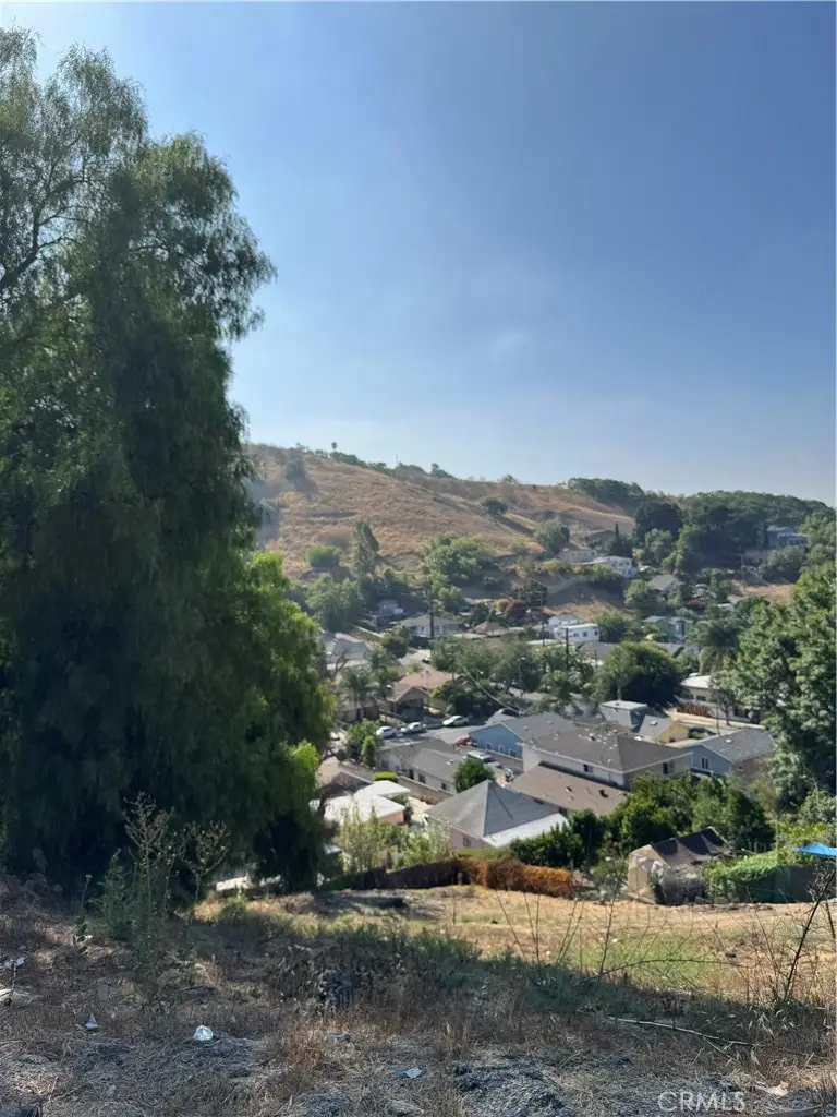 2906 Alta Street, Los Angeles, CA 90031 - Image #3