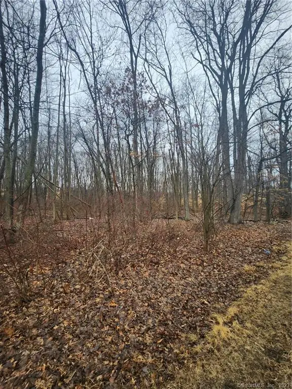 01 South Grand, East Granby, CT 06026 - Image #3