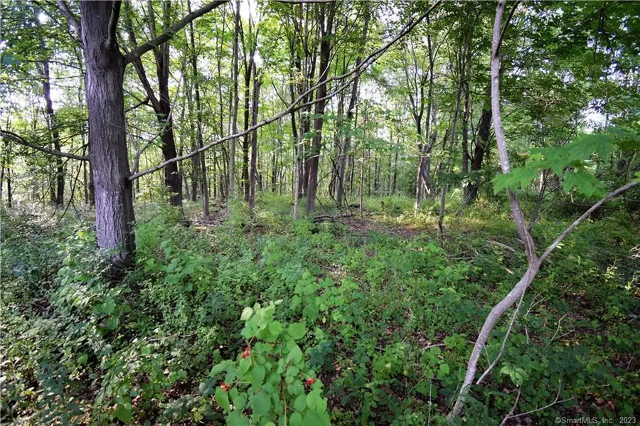 LOT #22 Kenneth Circle #MAP 77, Guilford, CT 06437 - Image #2