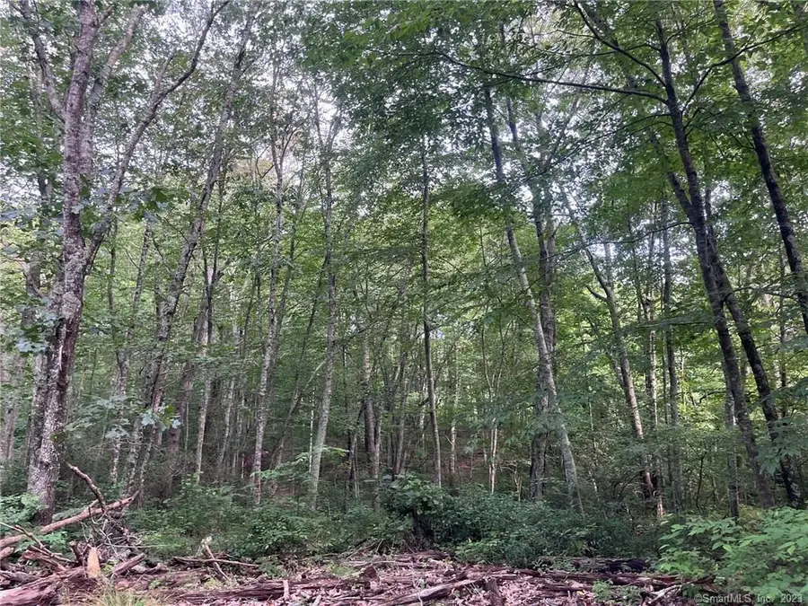 57 Walnut Hill Road, East Lyme, CT 06333 - Image #3