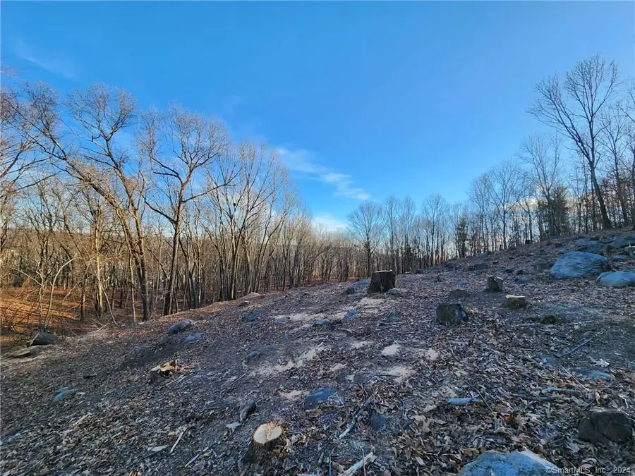 Berkeley Avenue, Waterbury, CT 06701 - #3