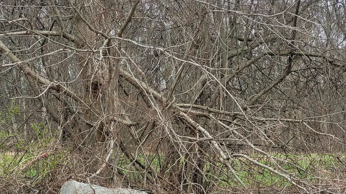 Lot 2 Church Street, Hebron, CT 06248 - Image #1