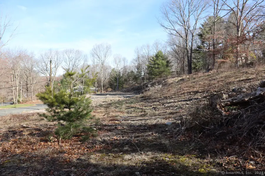 190 Blueberry Hill Road, Bridgewater, CT 06752 - Image #2