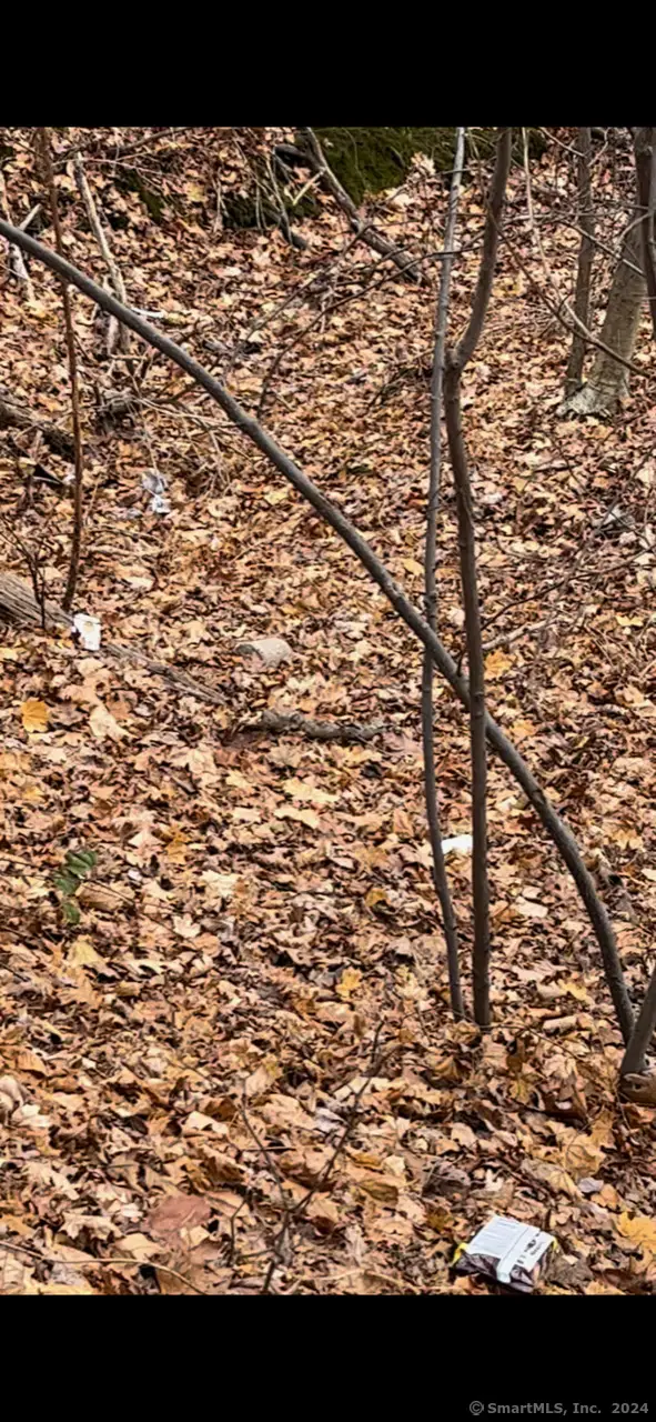 Hillside Avenue, East Hartford, CT 06108 - Image #1