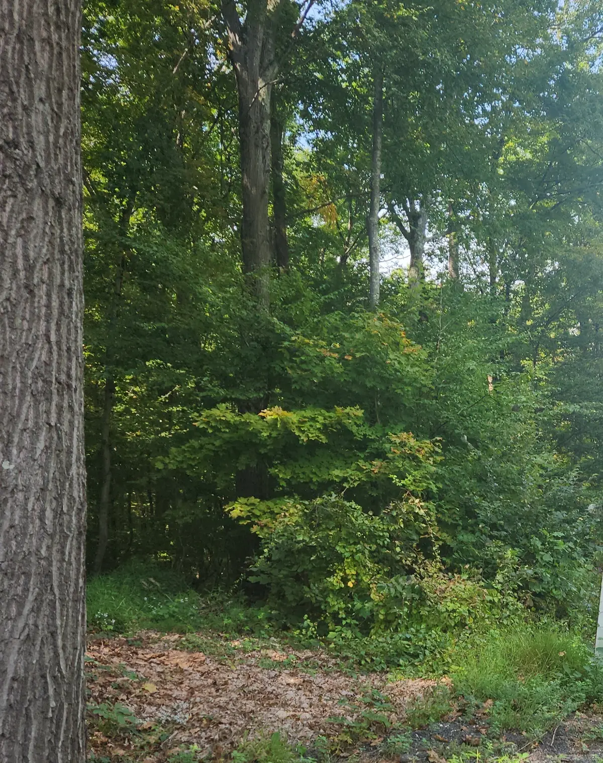 Waterbury Road, Cheshire, CT 06410 - Image #1