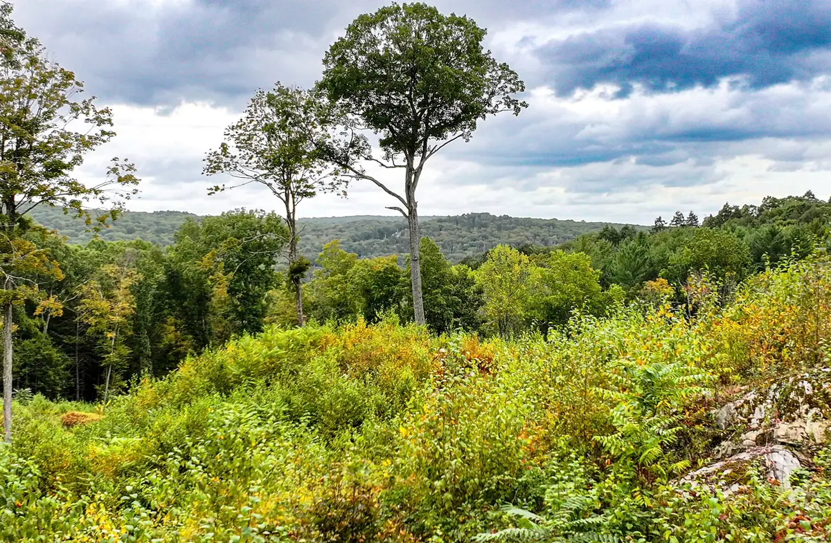 101 Lower Church Hill Road, Washington, CT 06794 - Image #1