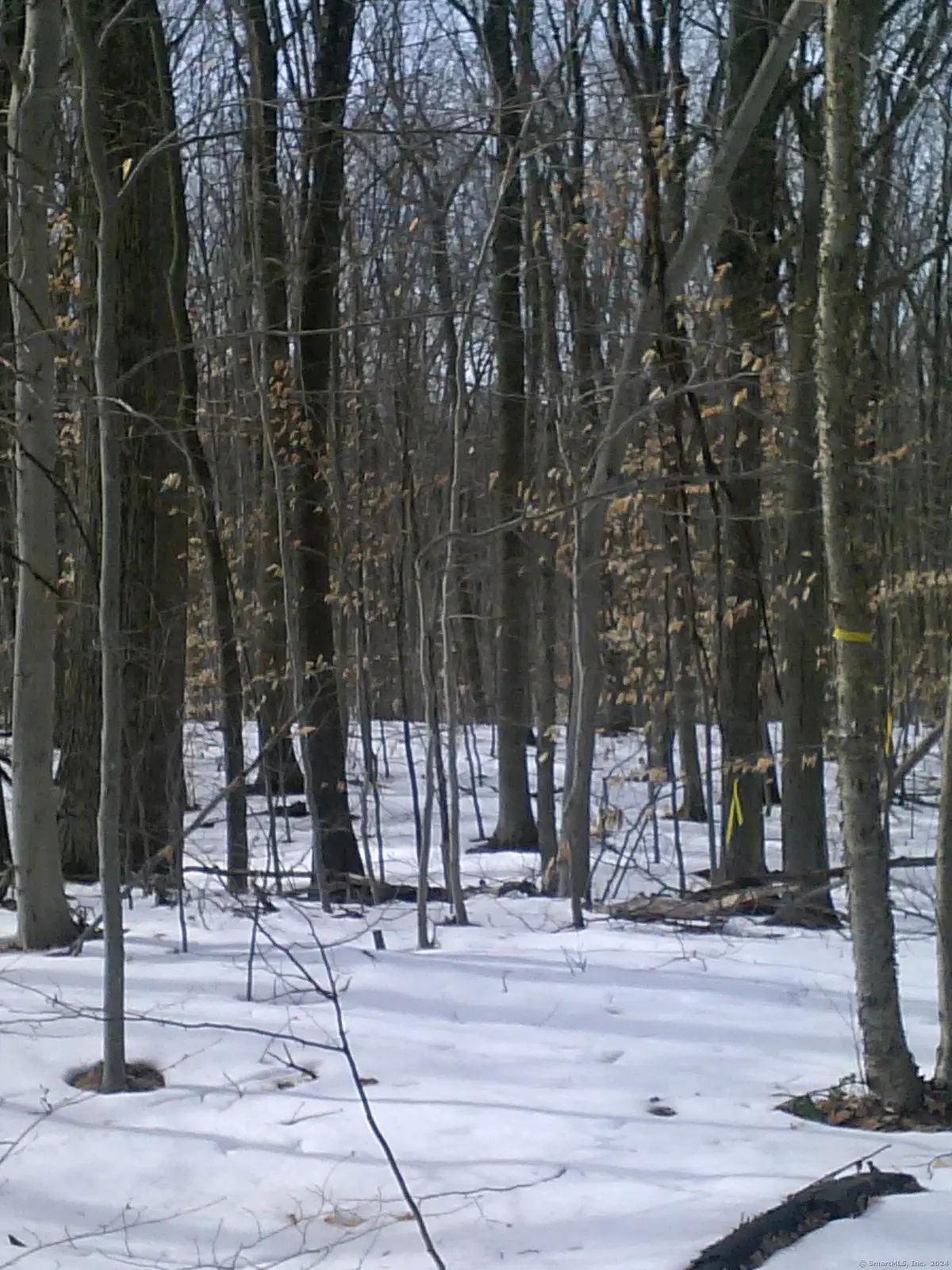 Suffield Street, Suffield, CT 06078 - Image #1