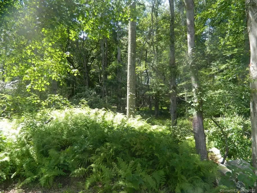 184 Shore Road, Old Lyme, CT 06371 - #3