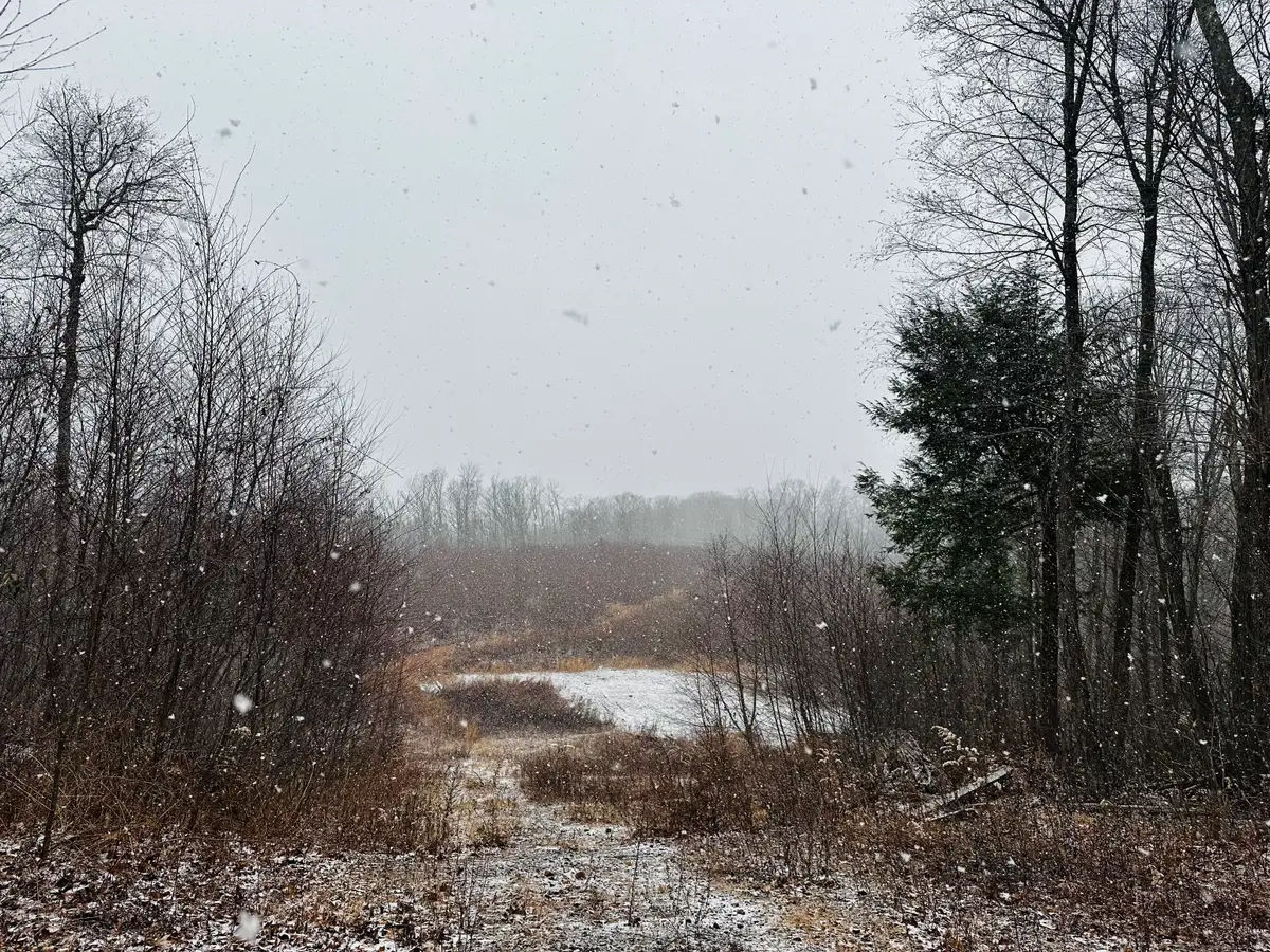 Arbutus Street, Middletown, CT 06457 - Image #1