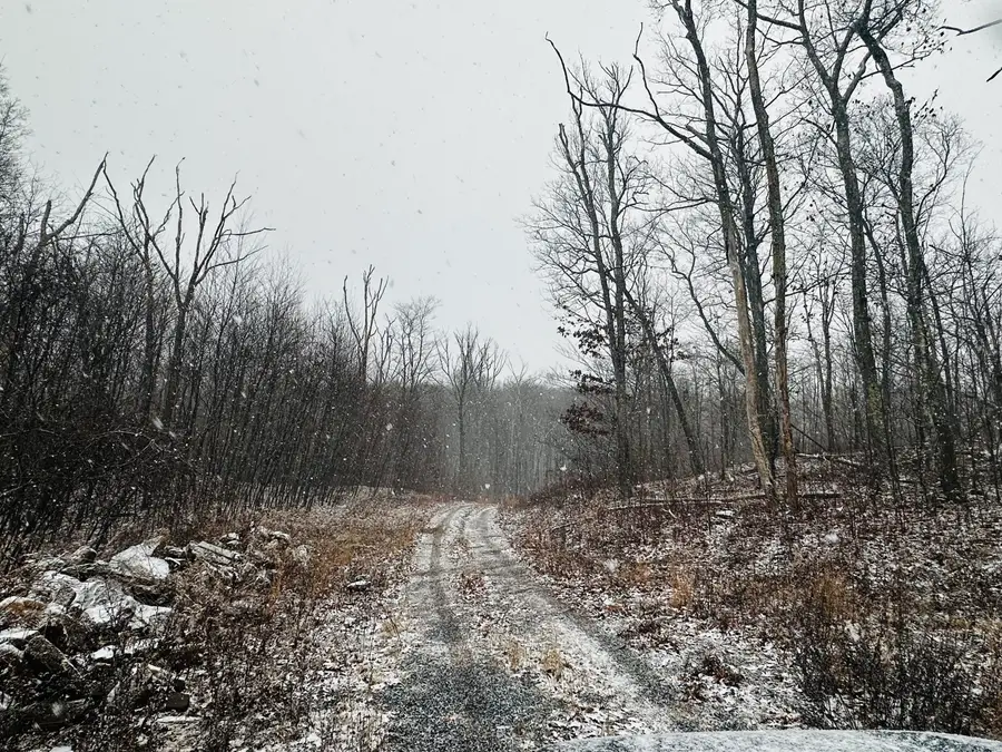 Arbutus Street, Middletown, CT 06457 - Image #3