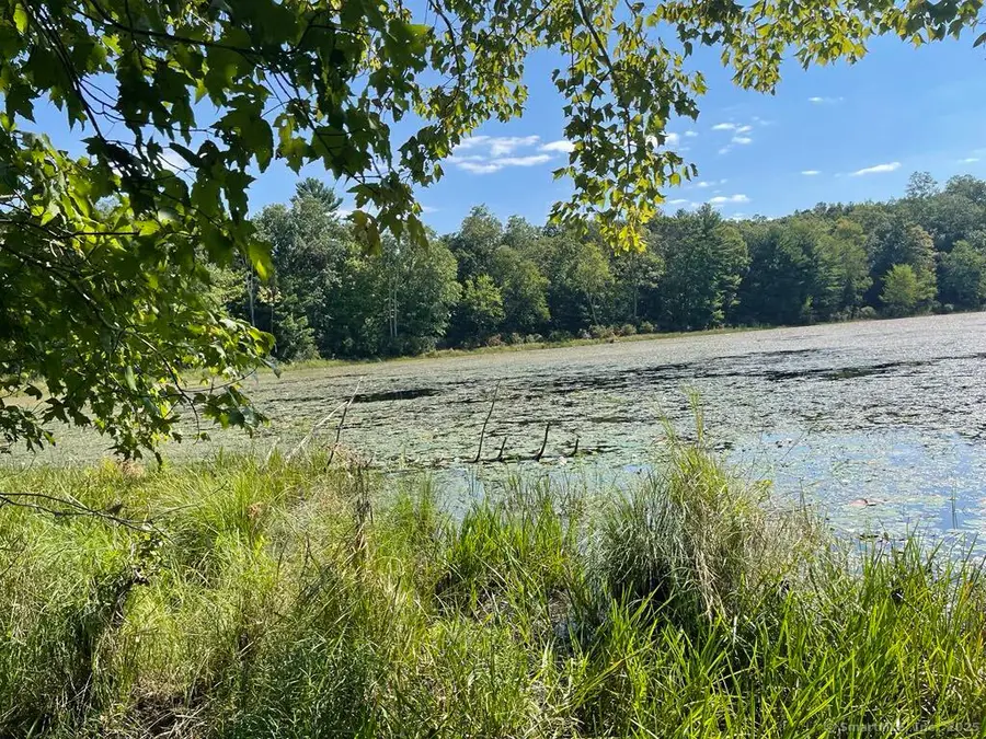 Lot 0 Kozey Road, Eastford, CT 06242 - Image #3