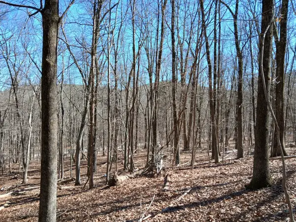 Sherman Road, New Milford, CT 06776