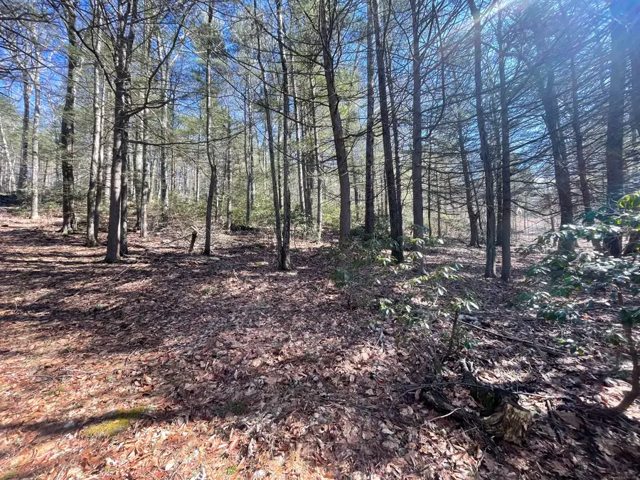 50 Pine Road, Colebrook, CT 06021 - Image #3