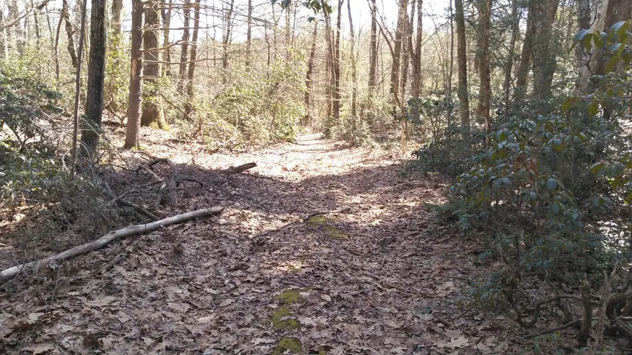 256 South Road, East Hartland, CT 06027 - Image #3