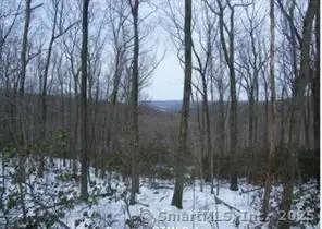 Dish Mill Road, Haddam, CT 06438 - Image #3