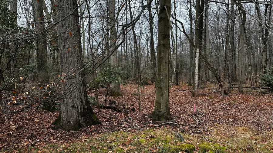 Address Withheld By Seller, New Canaan, CT 06840 - Image #2