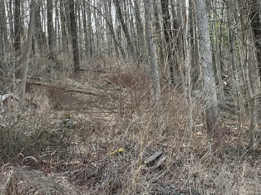 00 Torrington Road, Litchfield, CT 06759 - Image #2