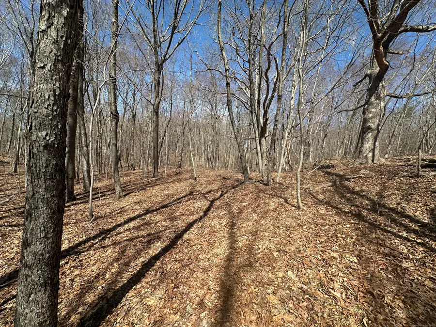 0 Cowles Road, Woodbury, CT 06798 - Image #3