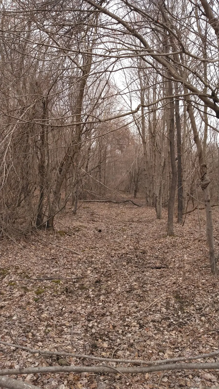 Highland Avenue, Torrington, CT 06790 - Image #2