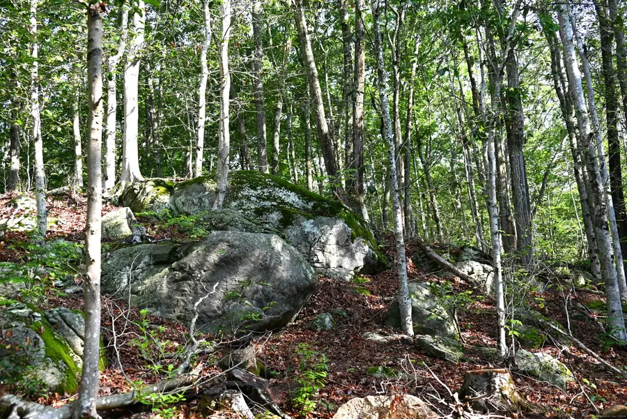 62-14,15,16 Middlesex Turnpike, Old Saybrook, CT 06475 - Image #3