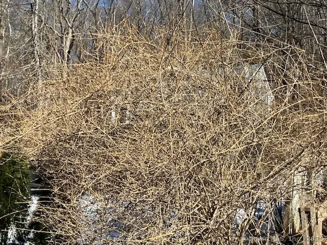 1 Parsons Drive, Waterbury, CT 06708 - Image #2