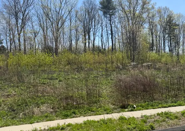 156 Corbin Ridge, Bristol, CT 06010