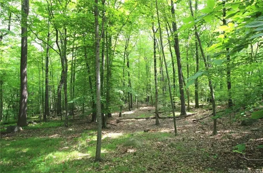 0 Mountain Road, Wilton, CT 06897 - Image #2