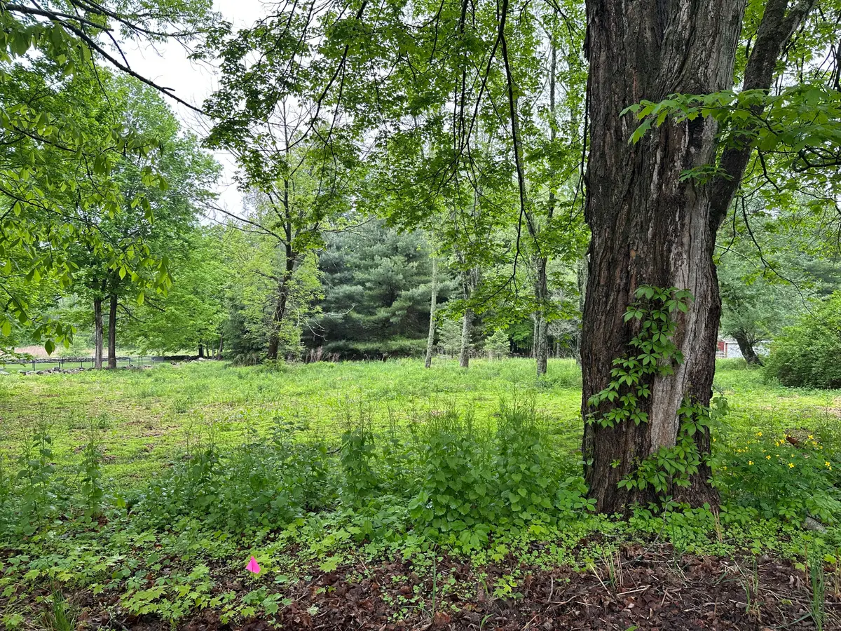 Prospect Hill Road, Colchester, CT 06415 - Image #1