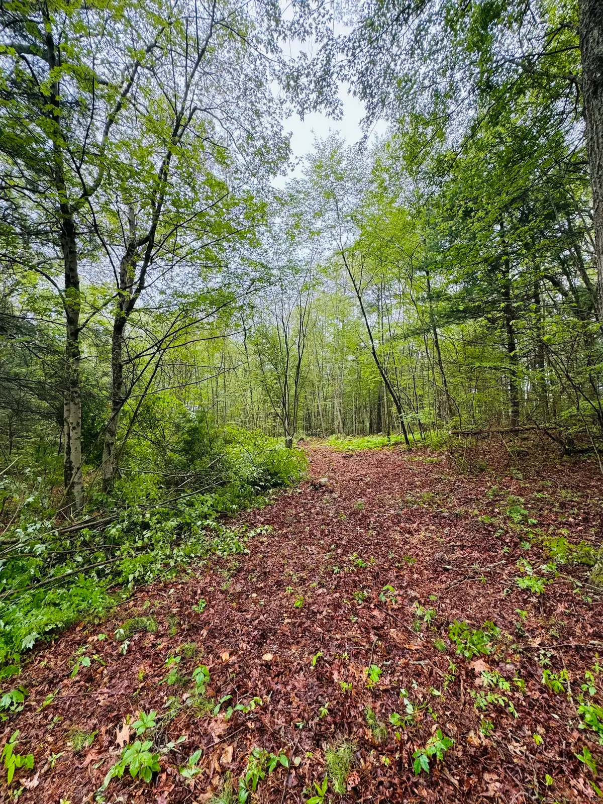 18 Ledge Hill Road, Sterling, CT 06377 - Image #1