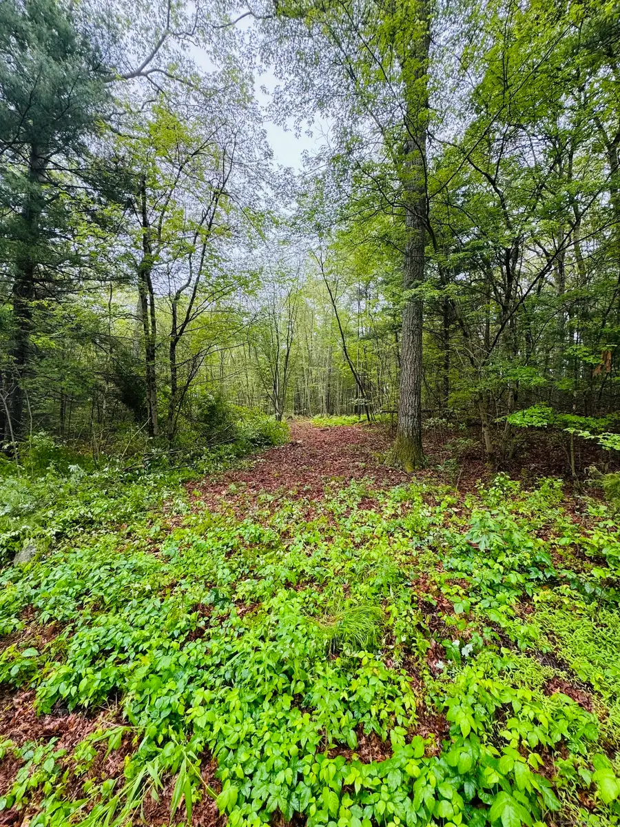 18 Ledge Hill Road, Sterling, CT 06377 - Image #2