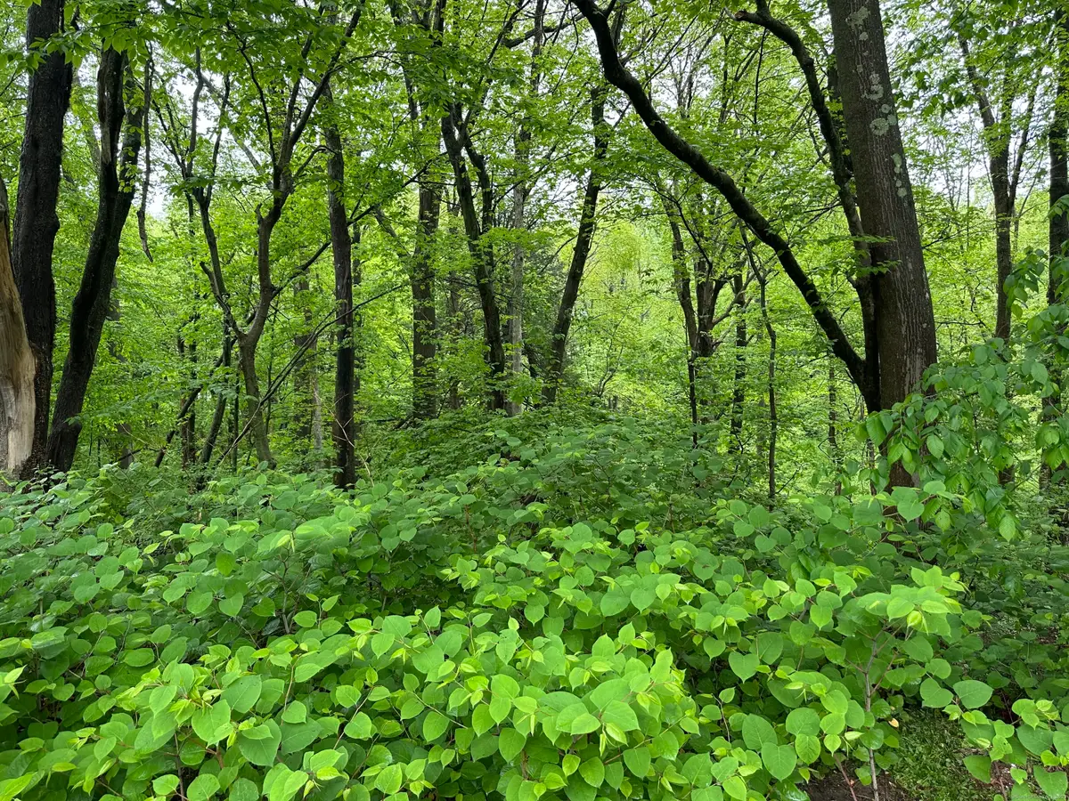 66 Union City Road, Prospect, CT 06712 - Image #1