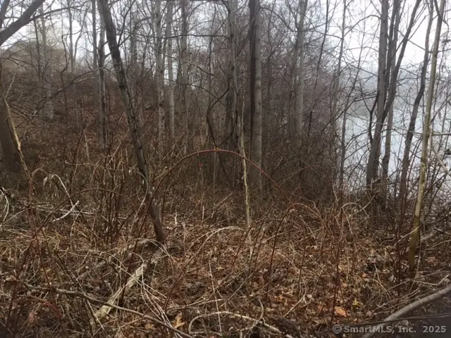 153 Grannis Street, East Haven, CT 06512 - Image #3