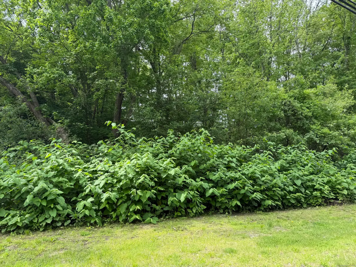 2 Sandra Avenue, Terryville, CT 06786 - Image #1