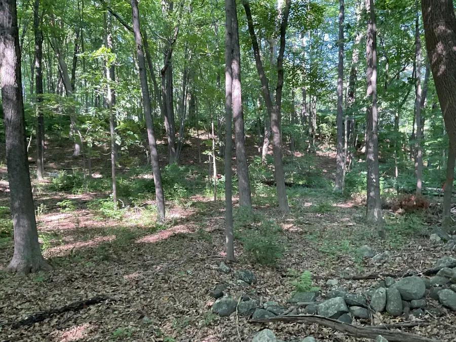 176 Picketts Ridge Road, Redding, CT 06896 - Image #2