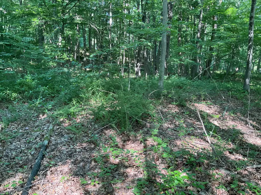 176 Picketts Ridge Road, Redding, CT 06896 - Image #3