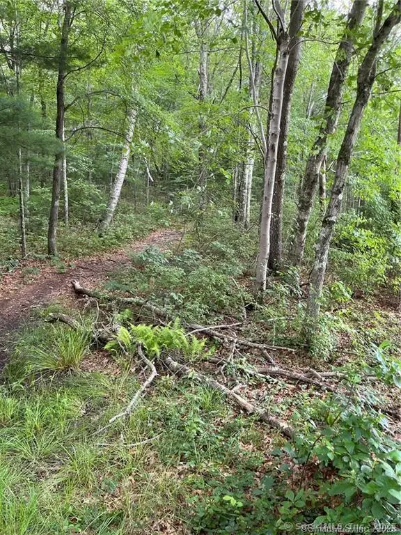 353 Allentown Road, Plymouth, CT 06786 - Image #2