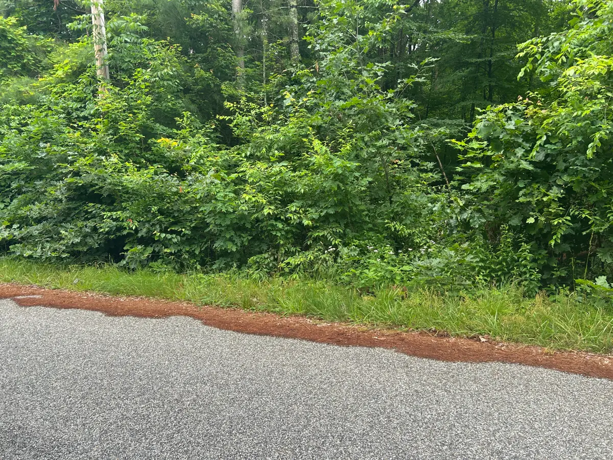 Chapman Road, Marlborough, CT 06447 - Image #1