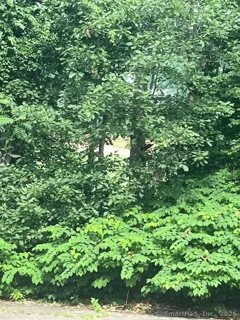 539 Fairway Road, Orange, CT 06477 - Image #3