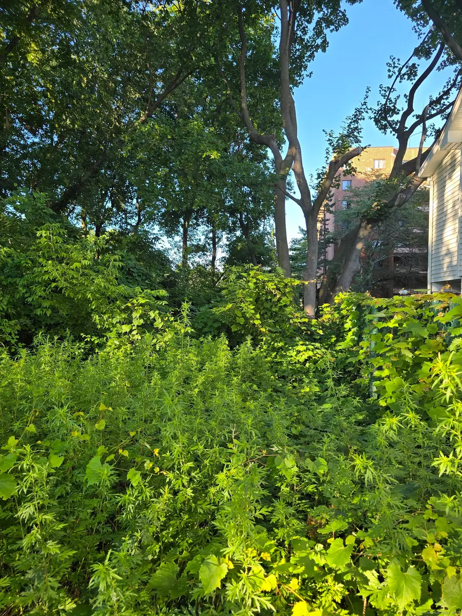 63A Main Street, Danbury, CT 06810 - Image #3