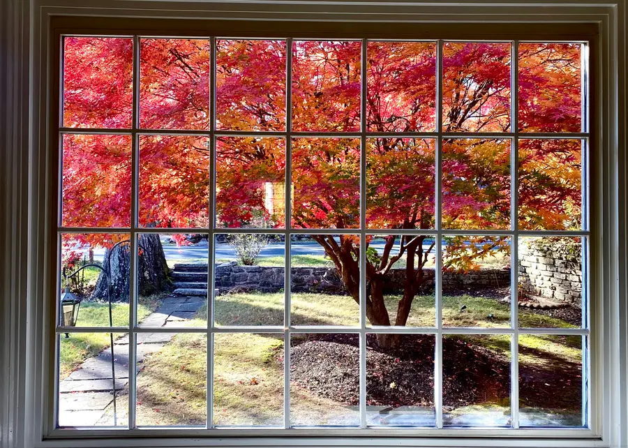 29 Grumman Avenue, Wilton, CT 06897 - Image #2