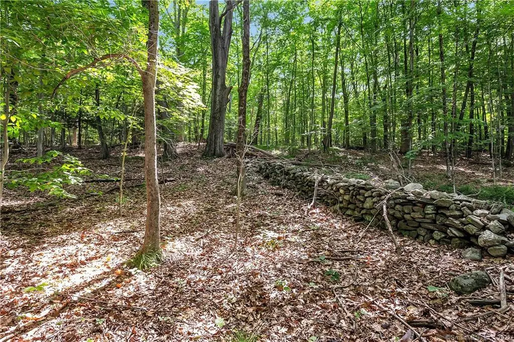 200 North Street, Roxbury, CT 06783 - Image #1